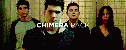 brosciles:  The Packs of Teen Wolf       ↳ requested by theodoreraeken 