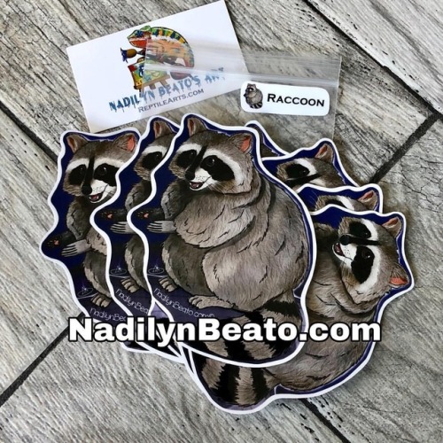 New Trash Panda stickers on my Etsy Shop #illustration #trashpanda #raccoon #raccoons #handmade #han