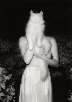 my-secret-eye:  Masaaki Miyzawa, Once Upon a White Night, 1981 