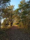 Just a autumn evening walk