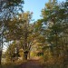 Just a autumn evening walk
