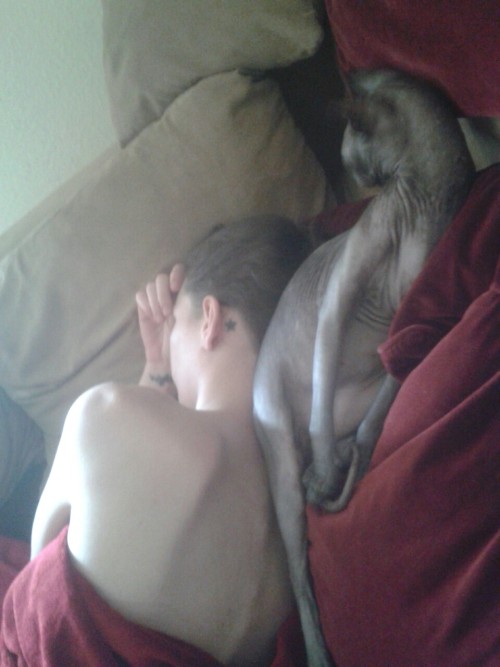okkvlt: Napping with a hairless cat is bliss