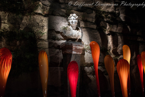 I went to the Biltmore last night to take photos of the Chihuly glasswork they have on display in th