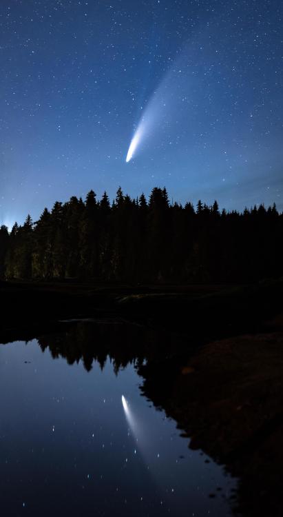 (via Neowise Comet[Vancouver Island][OC][3400x6200] : ExposurePorn)