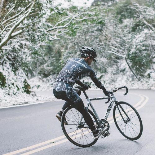 thebicycletree: . . . . #Fahrrad #Bicicleta #Bicicletta #velo #자전거 #픽시 #自転車 #ピスト #Trackbike #pista #