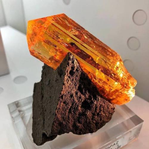 geologyin-blog:Imperial Topaz on matrix from Ouro Preto, Minas Gerais, Brazil Photo: Natural Creatio