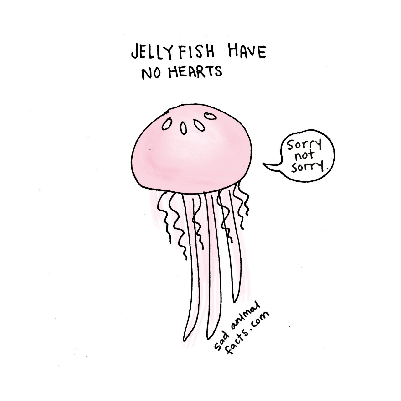 nevver:  Sad Animal Facts, Brooke Barker