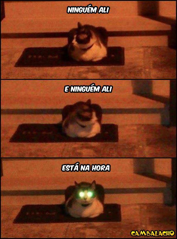Olá galera!