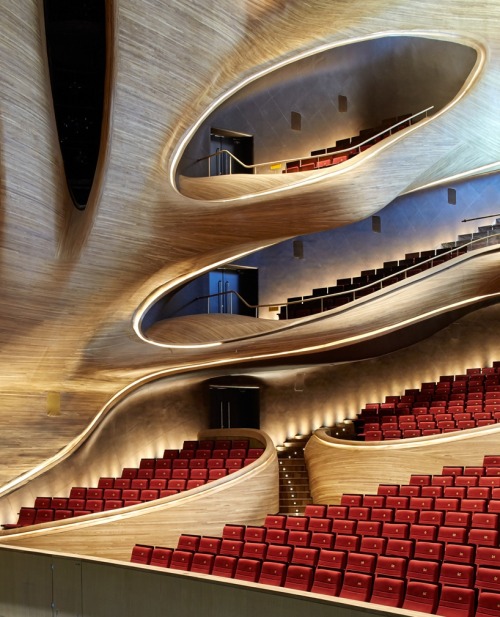 XXX bluehome91:  Het Harbin Opera House in China photo