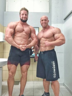 Bearmuscleworship:  The Bodyguards 