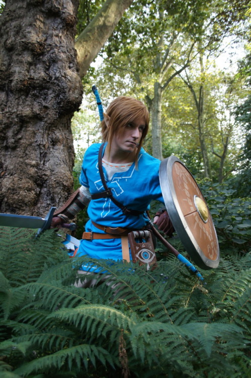 - character : Link- game : Breath of The Wild- cosplayer : Prince of Shintopia  (https://www.faceboo