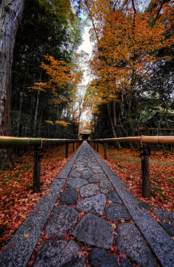 plasmatics-life:  The Narrow Path |  by Azul Obscura 