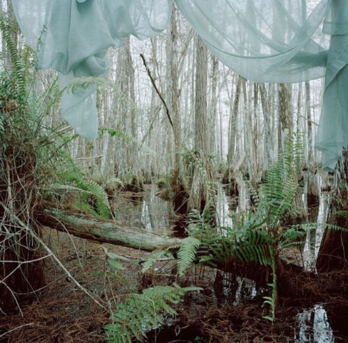 sheztired:certain curtain into the world by rebecca reeve