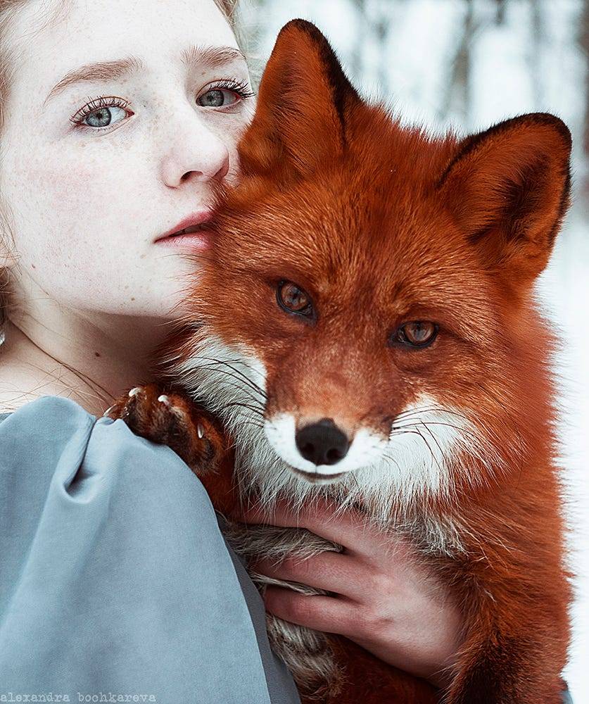 everythingfox:  VigilantPhoto by  Alexandra Bochkareva  