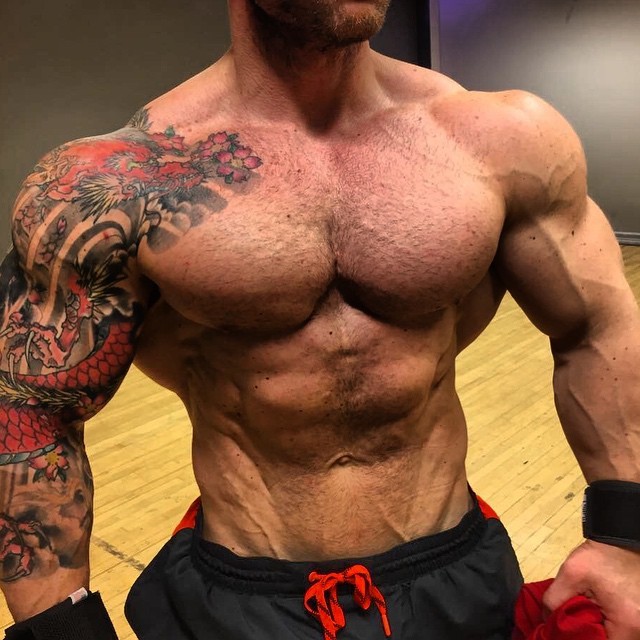 muscle-addicted:Thomas Chr Askeland