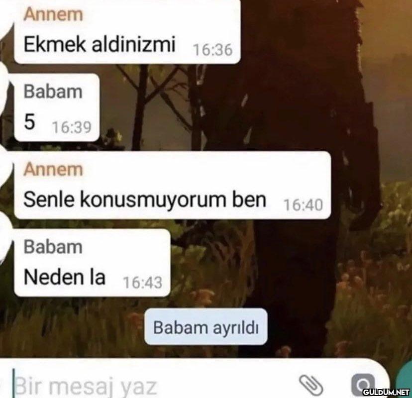 Annem Ekmek aldinizmi...