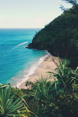 theadventurechild:    Jungle/tropical blog  