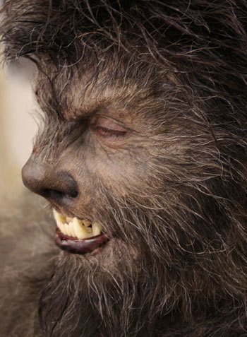 Fine work by Rick Baker for “The Wolfman” #WerewolfWednesday