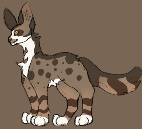 Doodled One Of My Favorite Clan Gen Clans, I Love TornClan So Much, Even If There's Only Four Of The