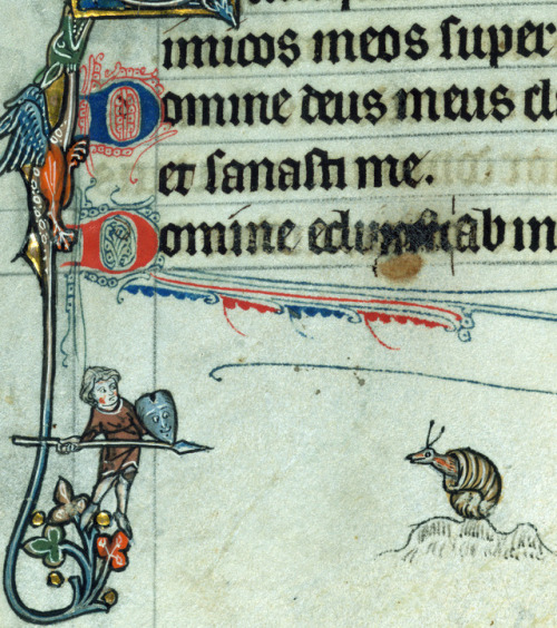 snailfight&lsquo;Fieschi Psalter&rsquo;, Cambrai ca. 1290-1295Baltimore, The Walters Art Mus