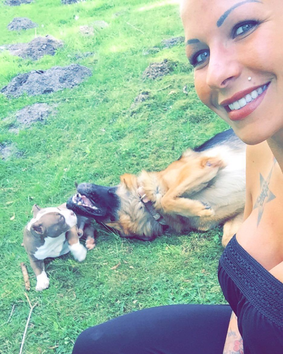 🐶🐺❤️ by jordannight