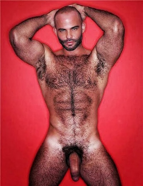 beareric:  Gio 