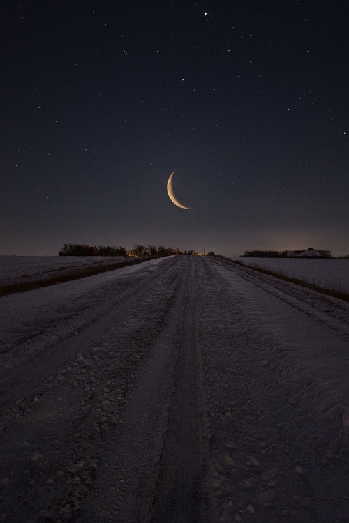 ponderation:  Frozen Road to Nowhere by AaronGroen