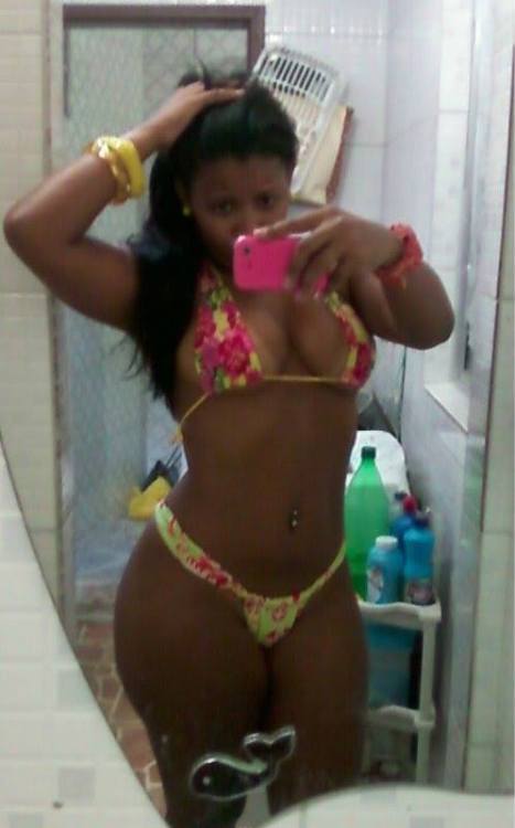 GATAS DO BRASIL