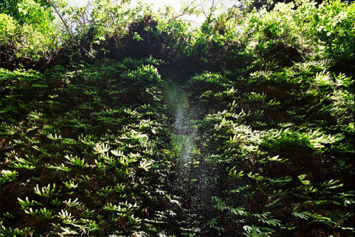 definitelydope:  lord the air smells good today 