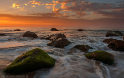 pagodagallery:  Stepping stones by paulmcconvillehttp://500px.com/photo/50093528