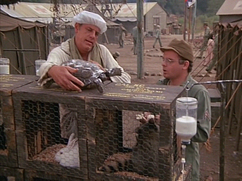 The animals of the 4077 M*A*S*H! Did I forget any? If so, add more to the post. I’d love 