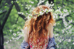 sinkling:  Hello Dear Spring by Everything is magic on Flickr.