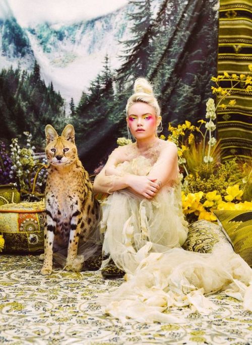 Breathtaking Photos Of Animals Saved From Black Market Trade  The wildlife sanctuary Animal Tracks i