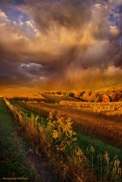 philkoch:  “I’m Living Today”Wisconsin