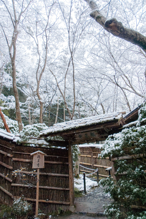 gioji-kyoto:祇王寺雪景色