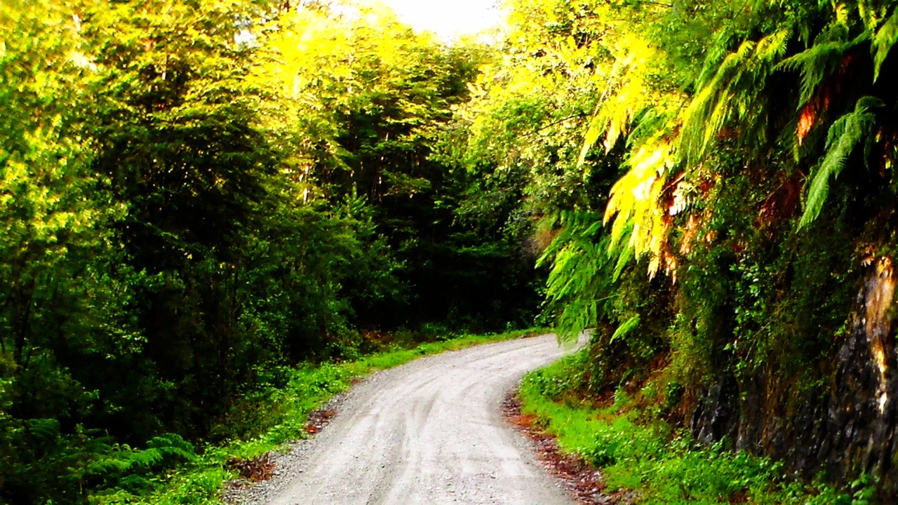 fruhling-blutet:  Carretera  Austral, Chile.