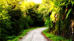 fruhling-blutet:  Carretera  Austral, Chile.