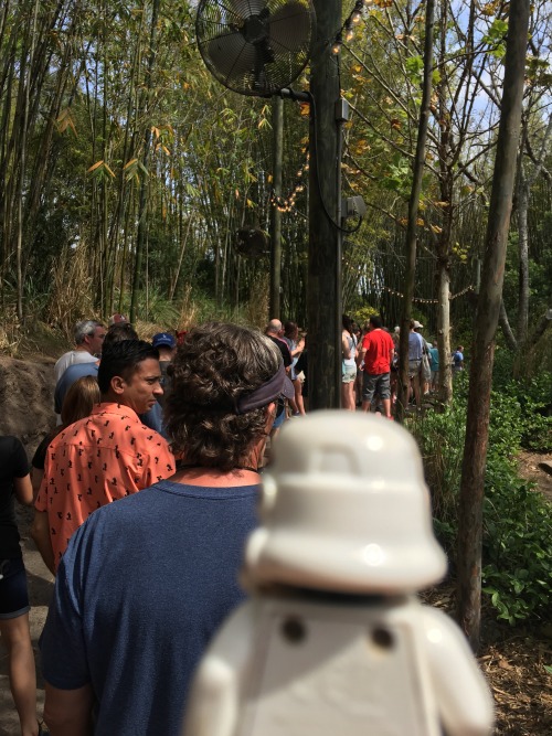 How does a highly trained Stormtrooper get through a long line to get on a Disney ride? He waits, th