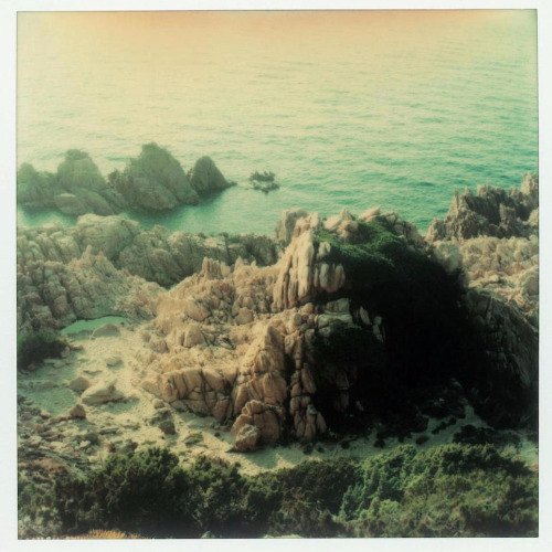 jamesusilljournal:                  Andrei Tarkovsky Polaroids 