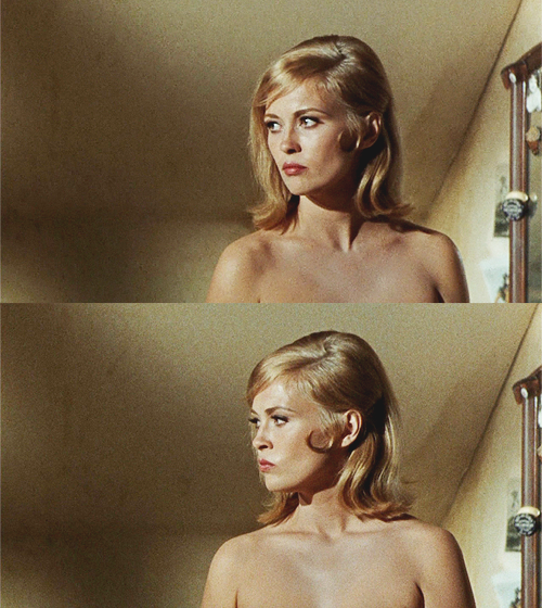 a dame like me