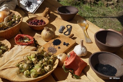 lamus-dworski: Early medieval food part 1: photos taken during various reenactment festivals in Pola