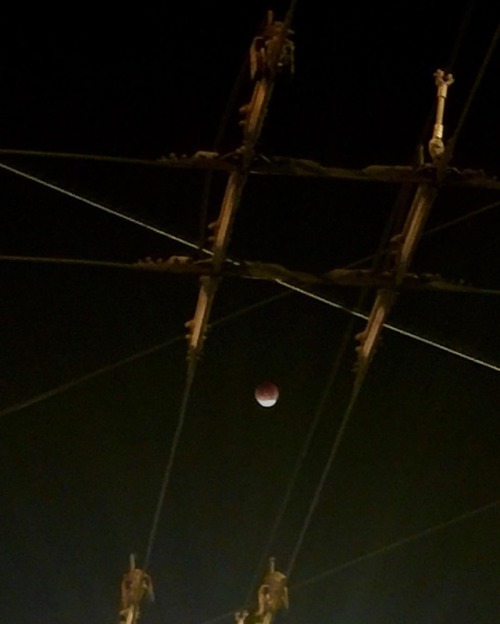 Superbluebloodmoon #superbluebloodmoon2018 #munisf #sanfrancisco (at Lower Haight, San Francisco)
