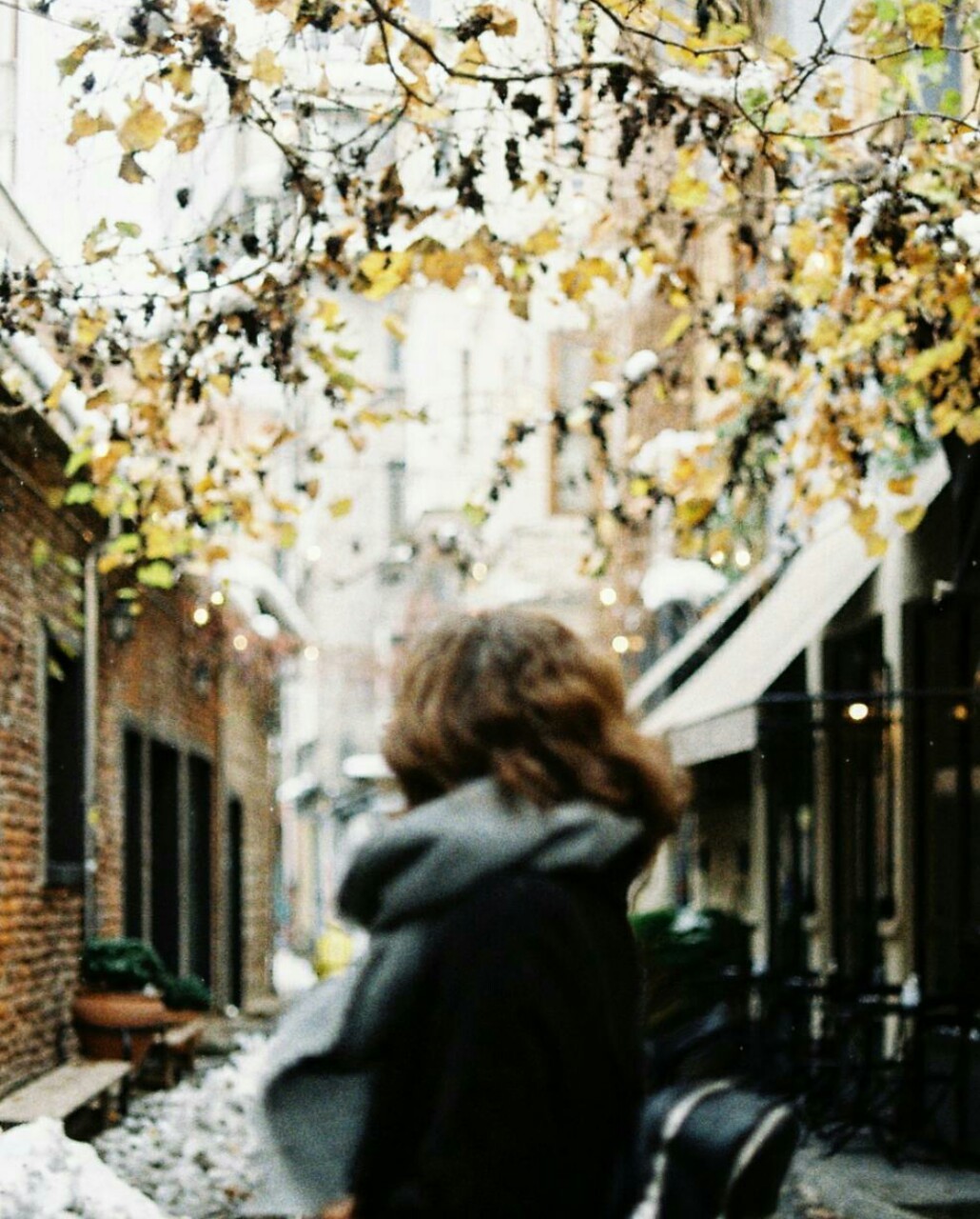 rrrroza: | ROZA 