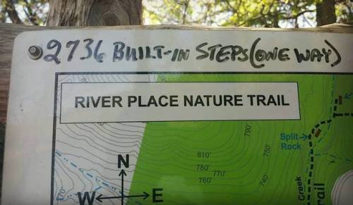 Let&rsquo;s do this! #riverplacenaturetrail #hiking #fitbit #nature #outdoorsy #austin #livelife