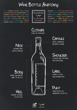 itacawinetwork:  Wine Bottle Anatomy, from Hisandherwine