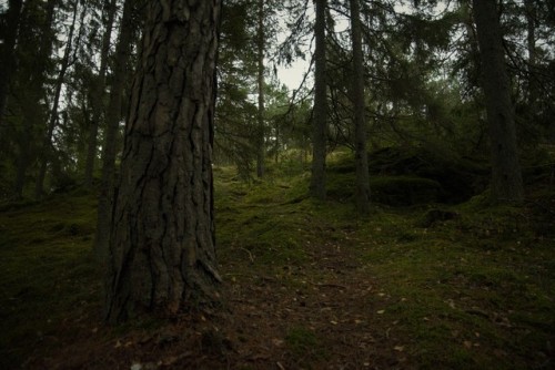 morganathewitch:Climbing the hillside~