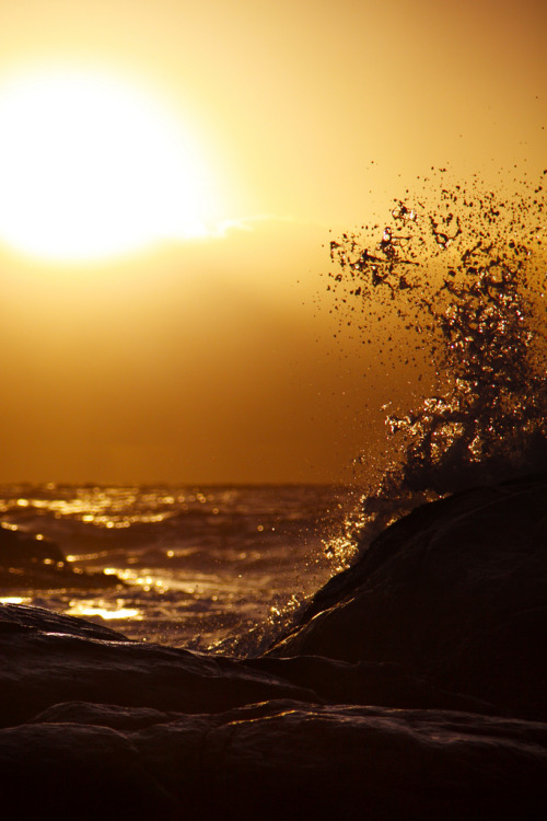 nature-planet:  Golden Hour | south*swell