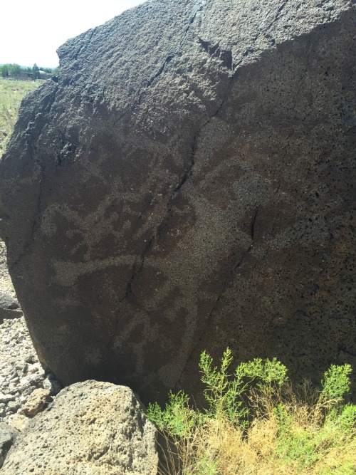 wtfarthistory: Petroglyph National Monument, Albuquerque, New Mexico