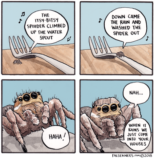 falseknees:If there’s one thing I know about people, it’s that they love spiders!