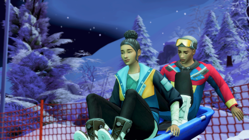 Two adventurous sims on a sled? recipe for injury.